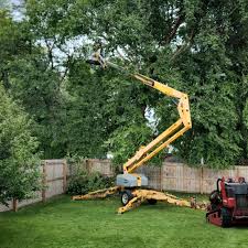 Warsaw, IN  Tree Services Company